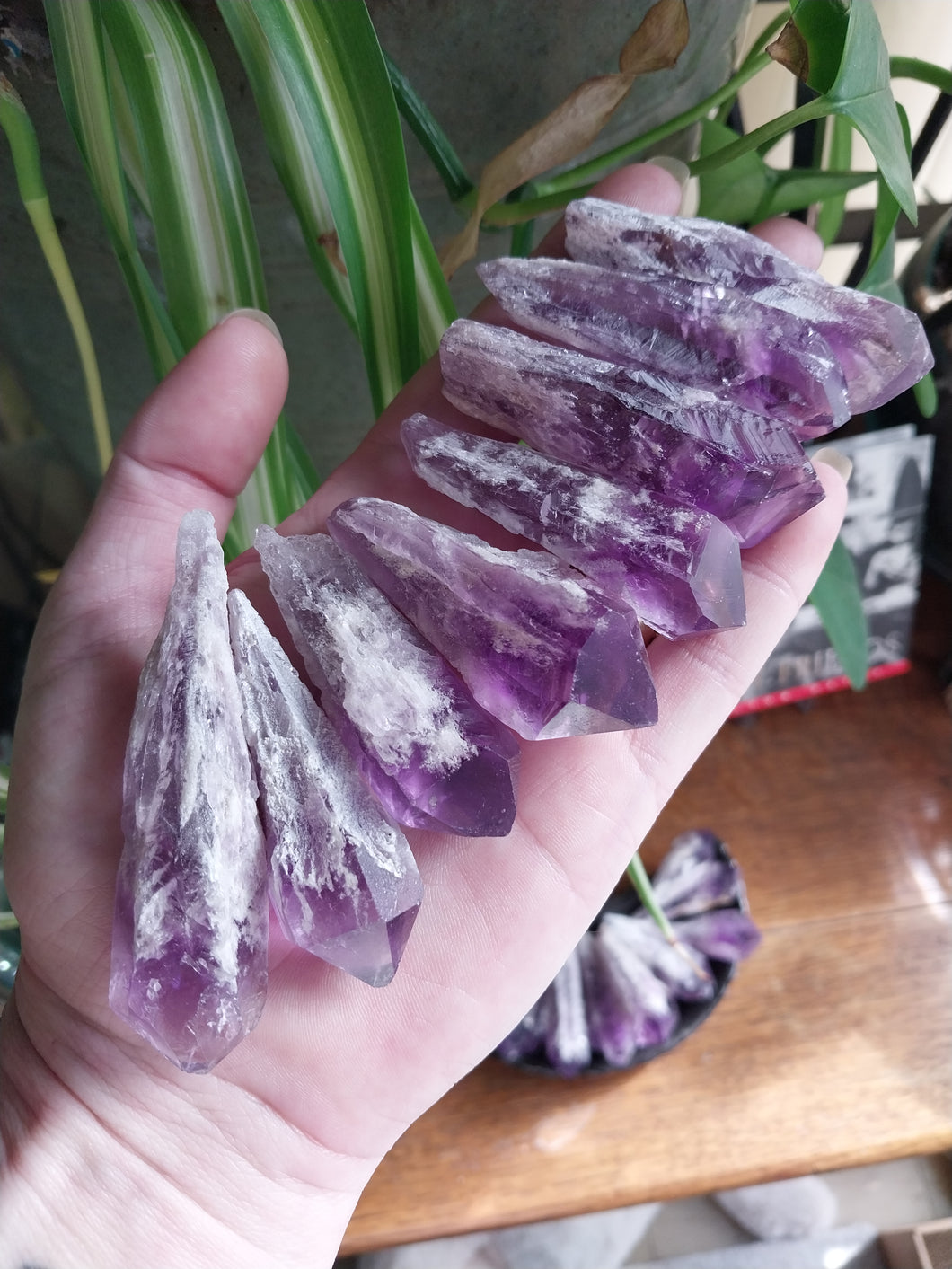 Amethyst Teeth