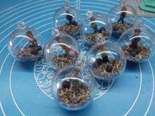 Load image into Gallery viewer, Witches Balls For Health

